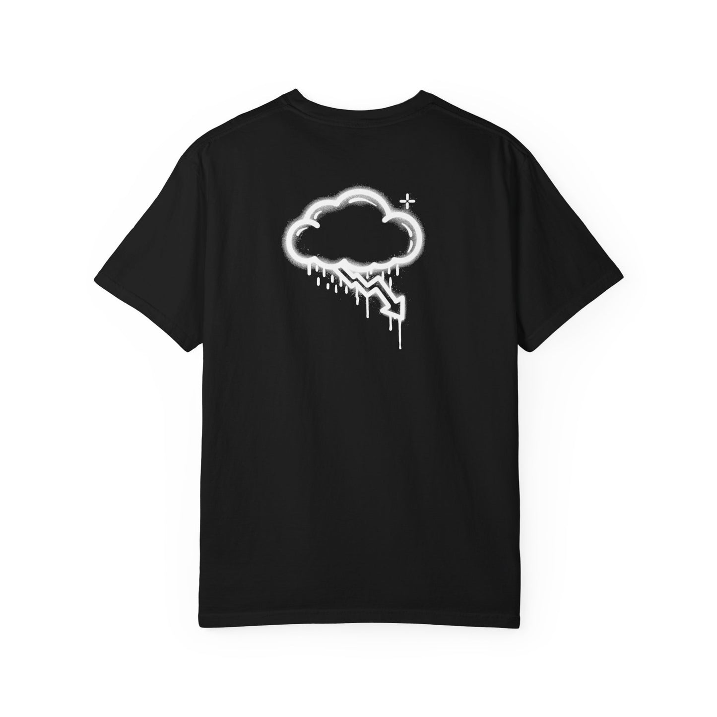 DESTROY THE PREDO CLASS tee